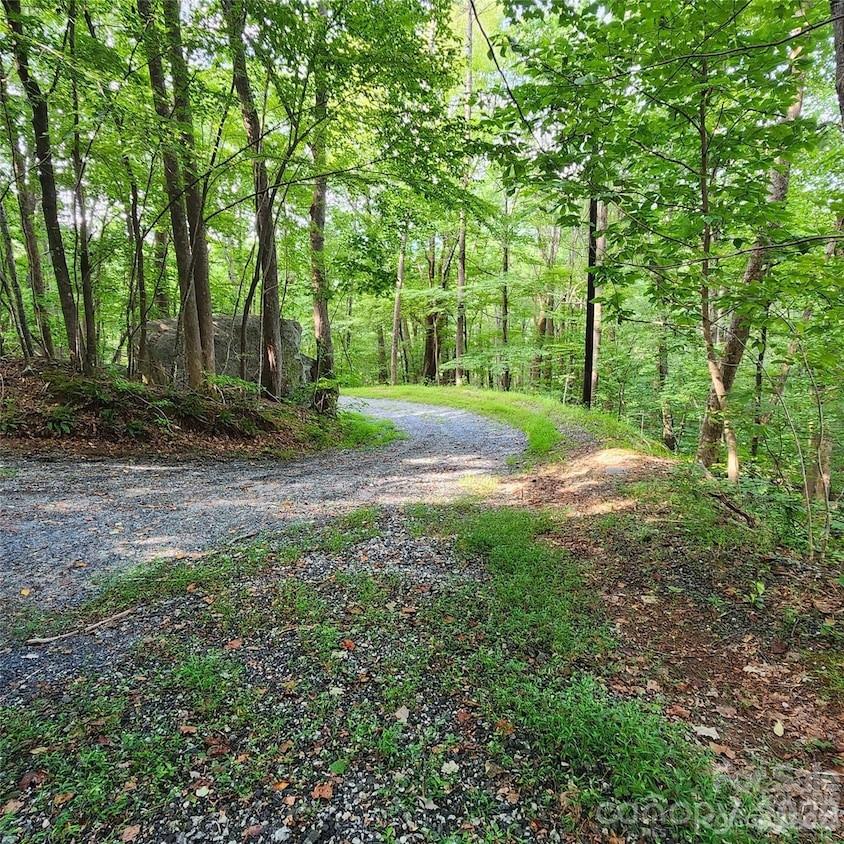 0 Switchback Road Property Photo 1
