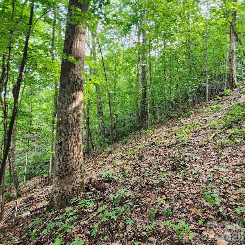 0 Switchback Road Property Photo 2