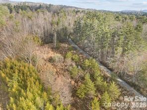 425 Nelson Valley Lane Property Photo 9