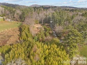 425 Nelson Valley Lane Property Photo 10