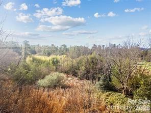 425 Nelson Valley Lane Property Photo 13