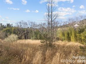 425 Nelson Valley Lane Property Photo 14