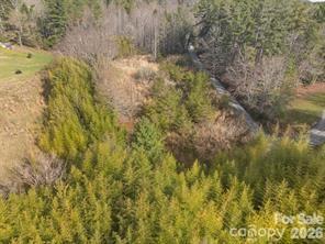 425 Nelson Valley Lane Property Photo 18