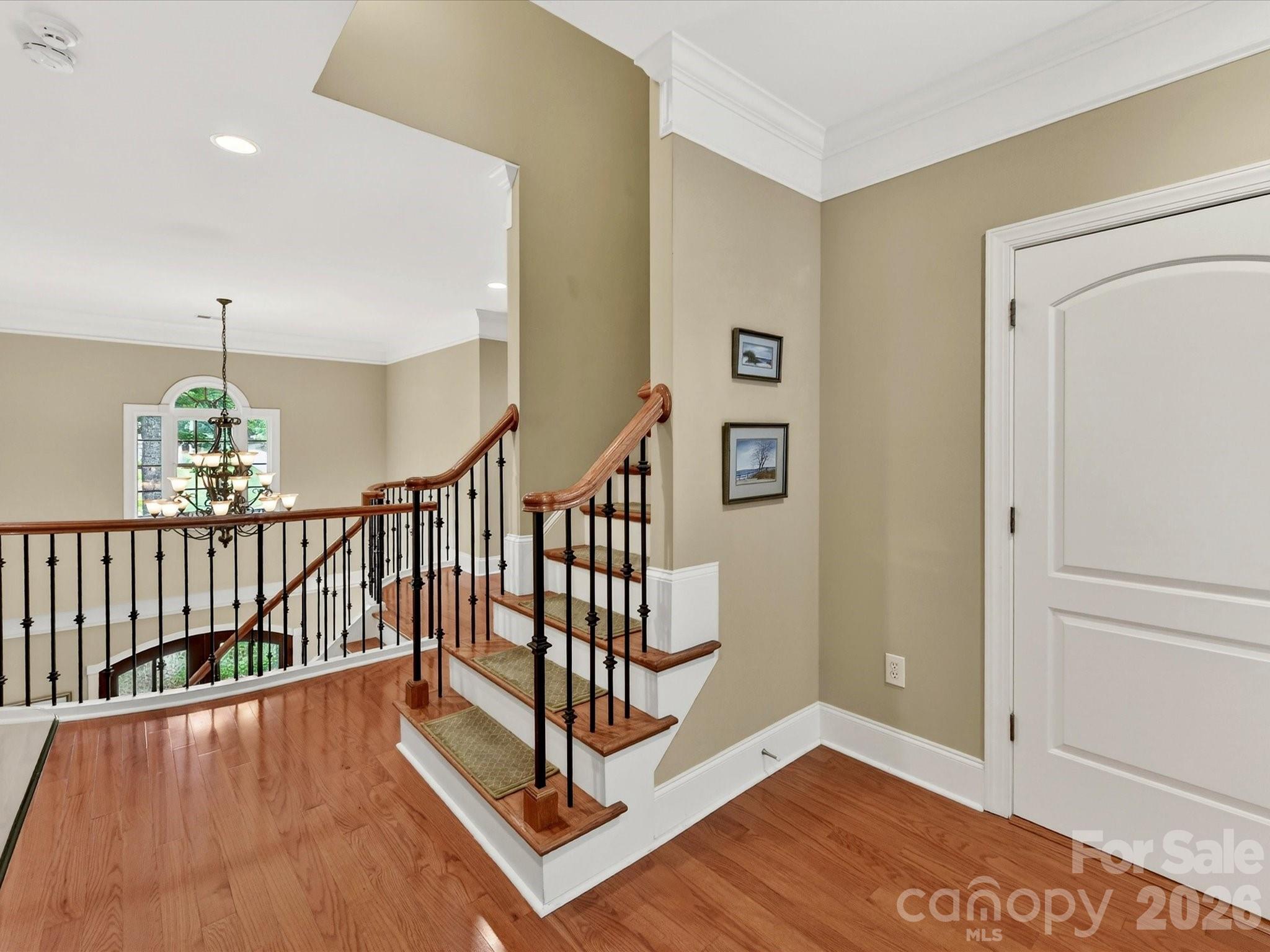 11615 Hidden Forest Lane Property Photo 37