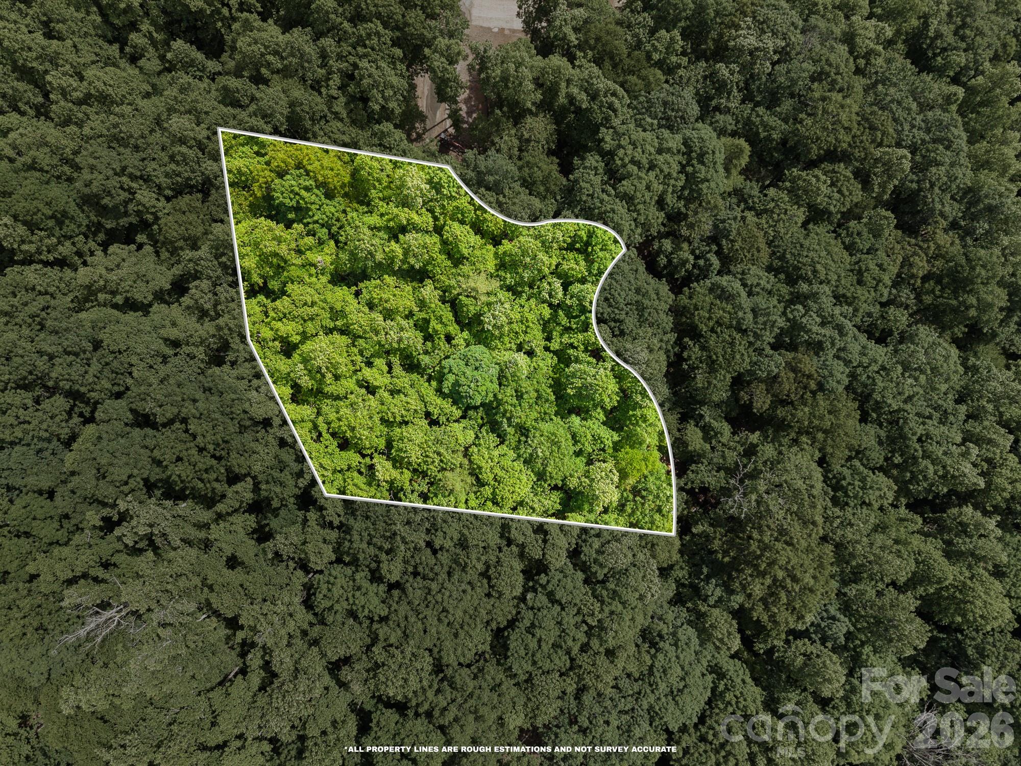 145 Hickory Tree Lane Property Photo 6