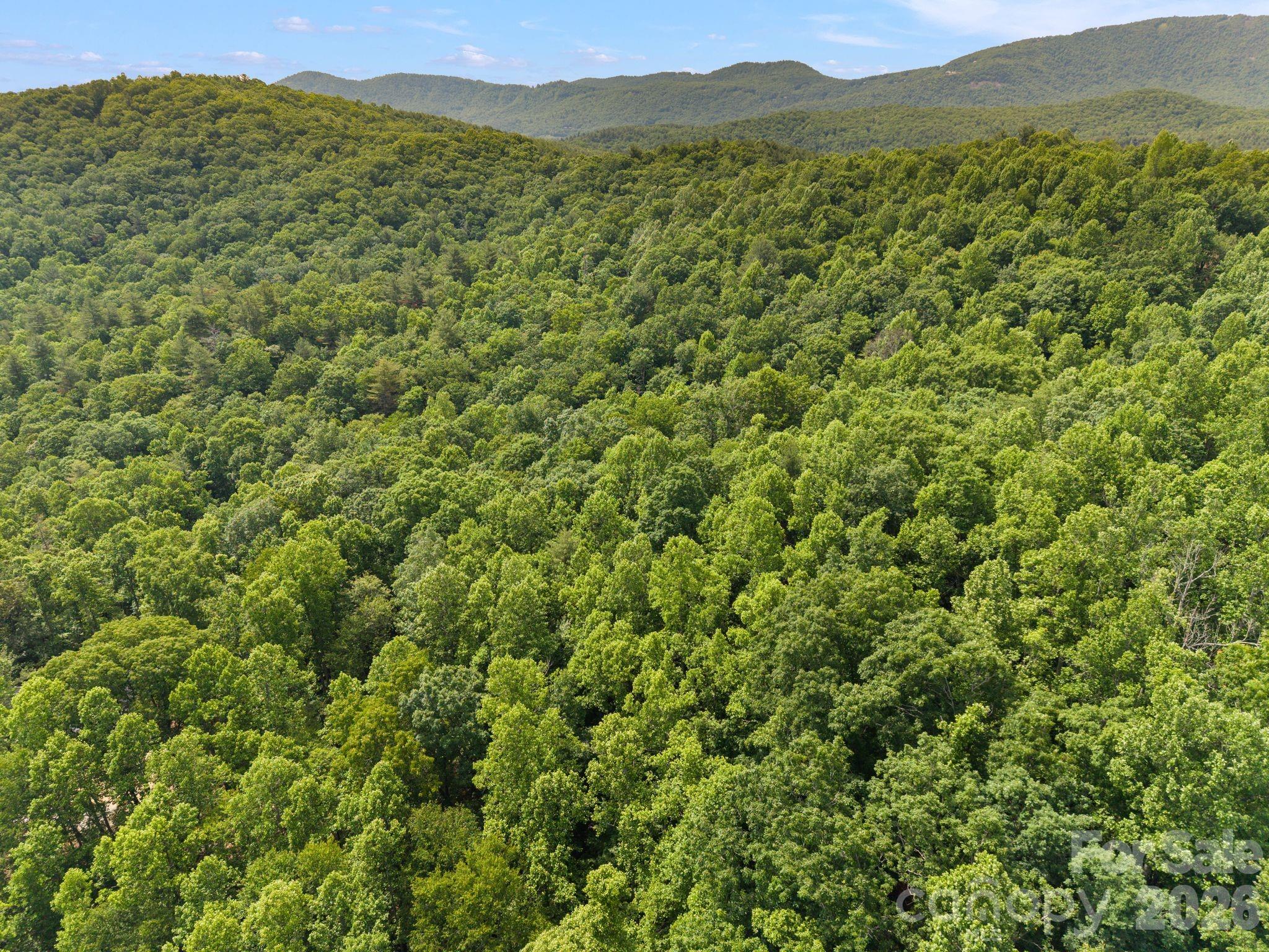 145 Hickory Tree Lane Property Photo 7
