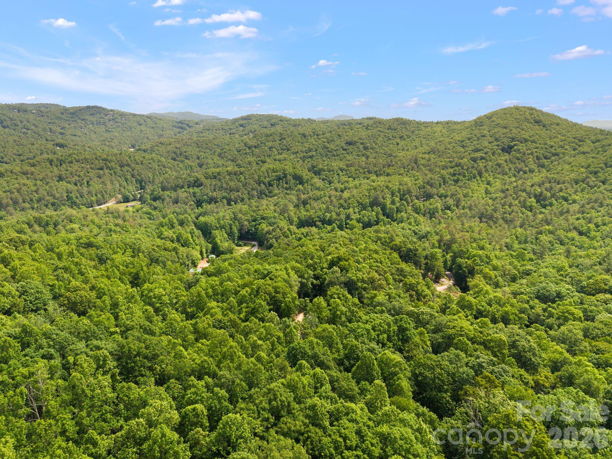 145 Hickory Tree Lane Property Photo 8