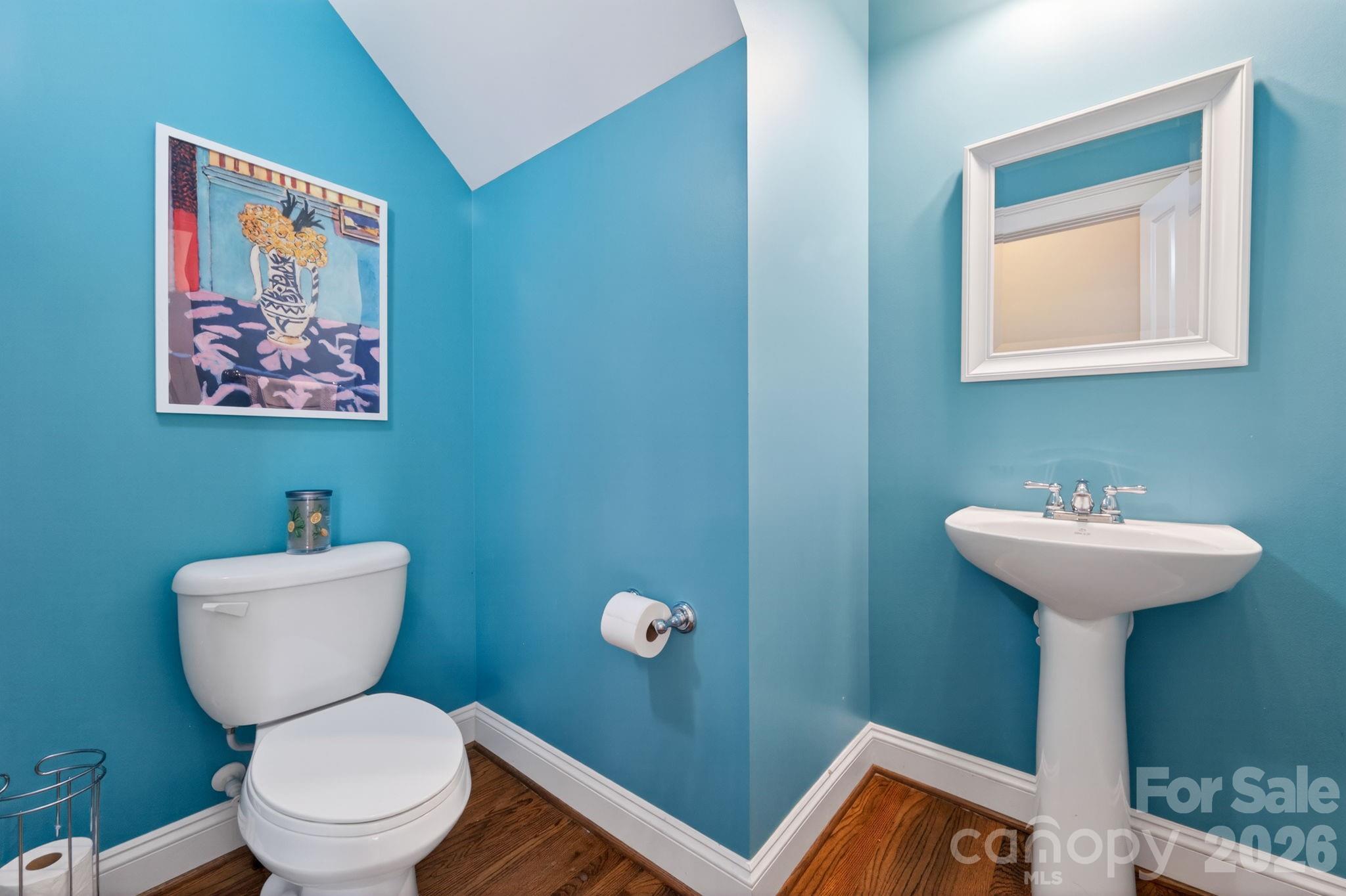 809 Elswick Court Property Photo 20