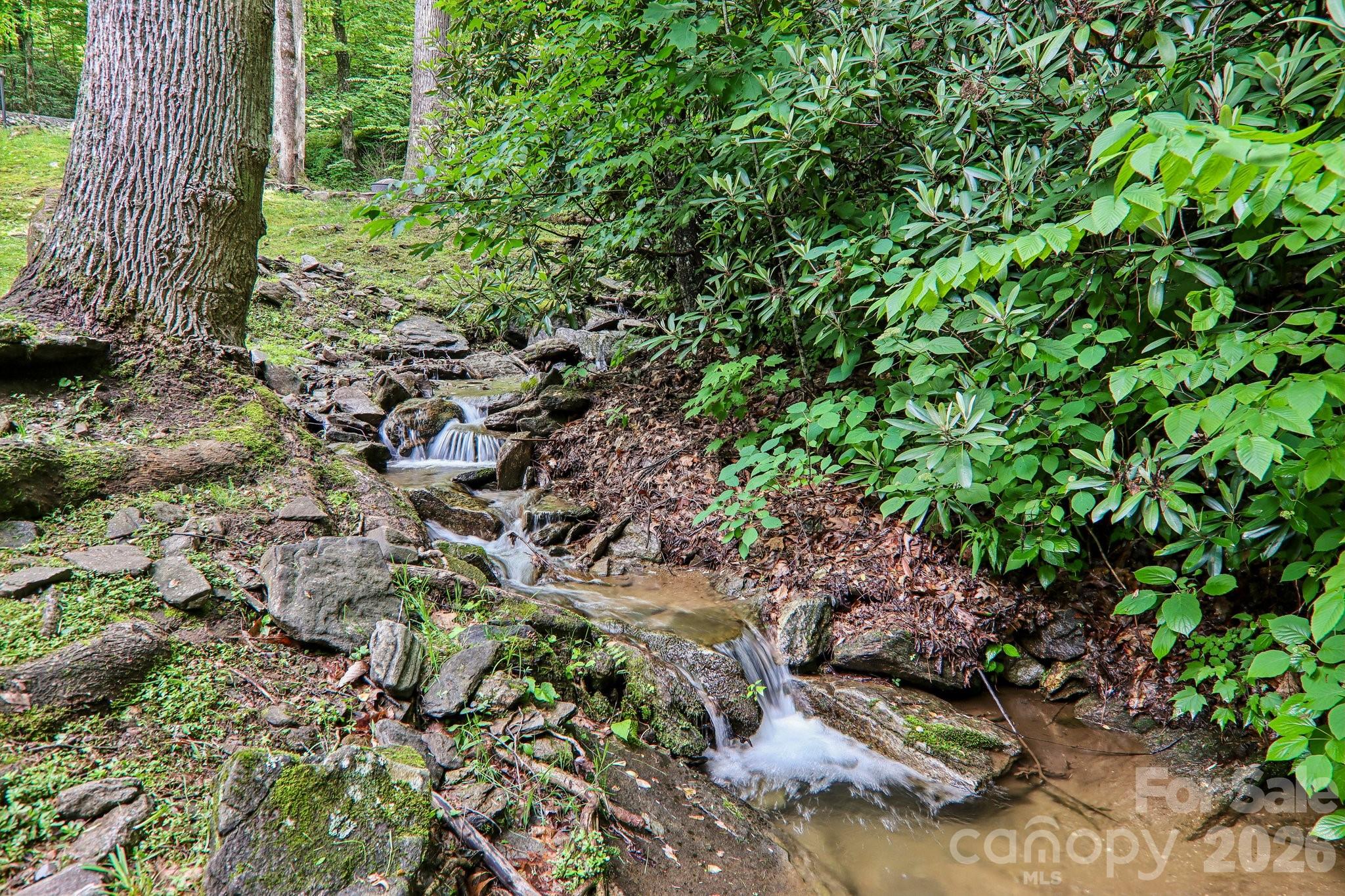 1264 Dogwood Drive Property Photo 8