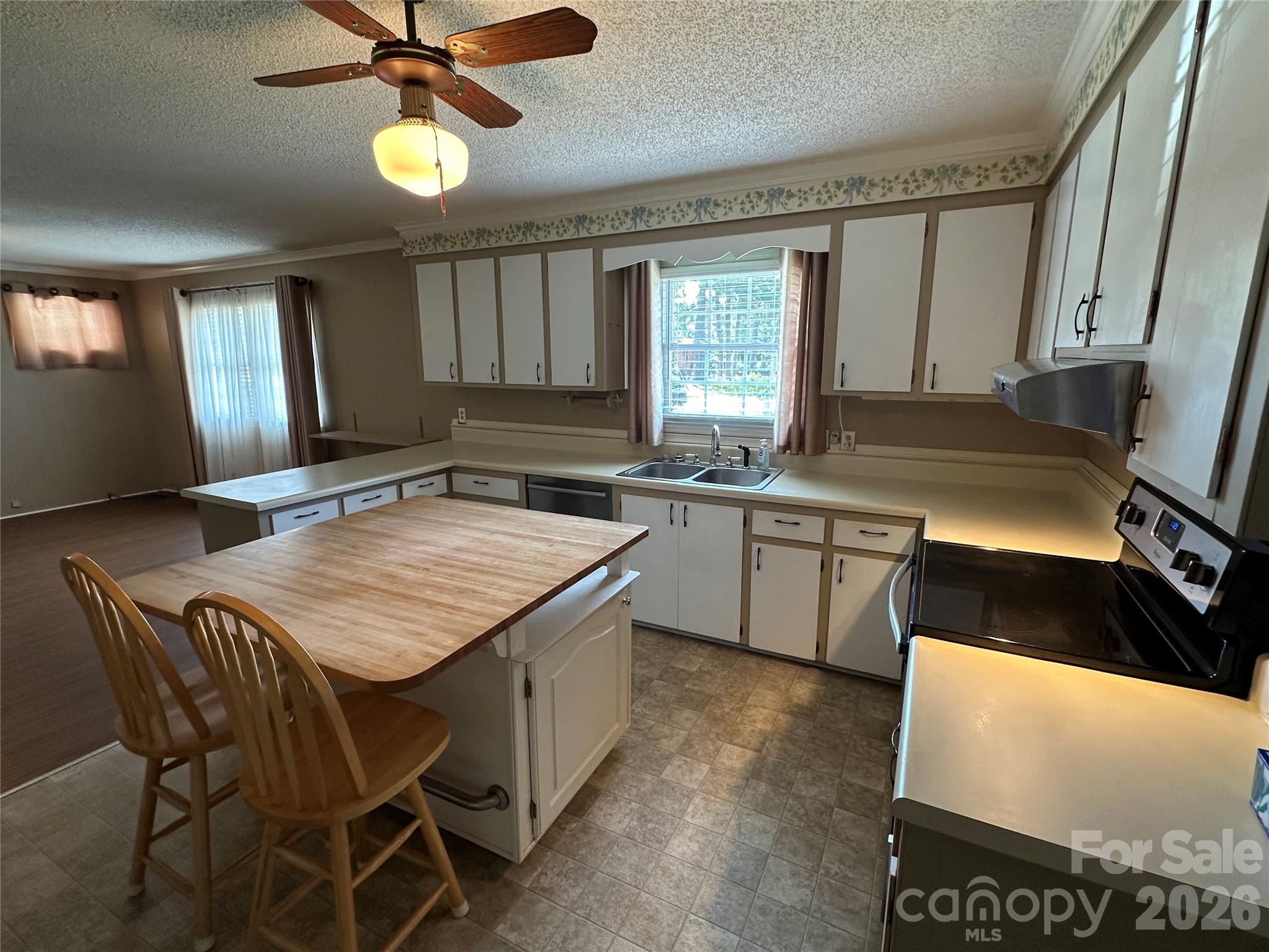 419 E Pigg Street Property Photo 9