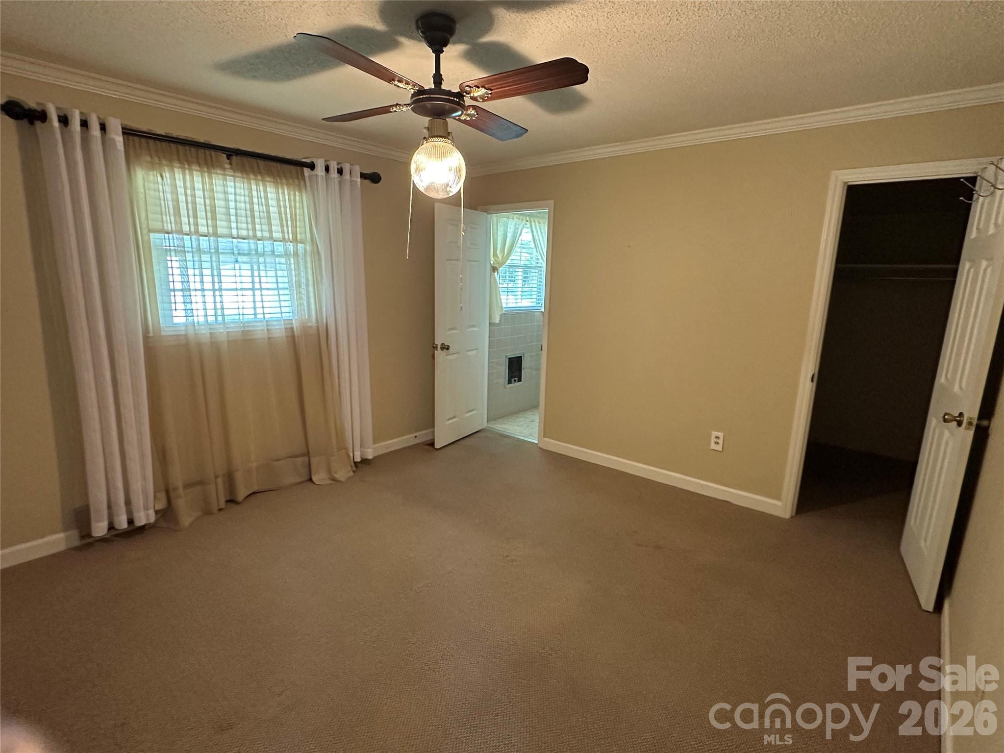 419 E Pigg Street Property Photo 11