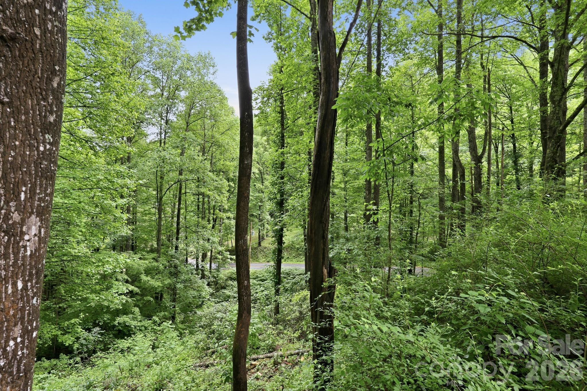 182 Saw Branch Road Property Photo 34