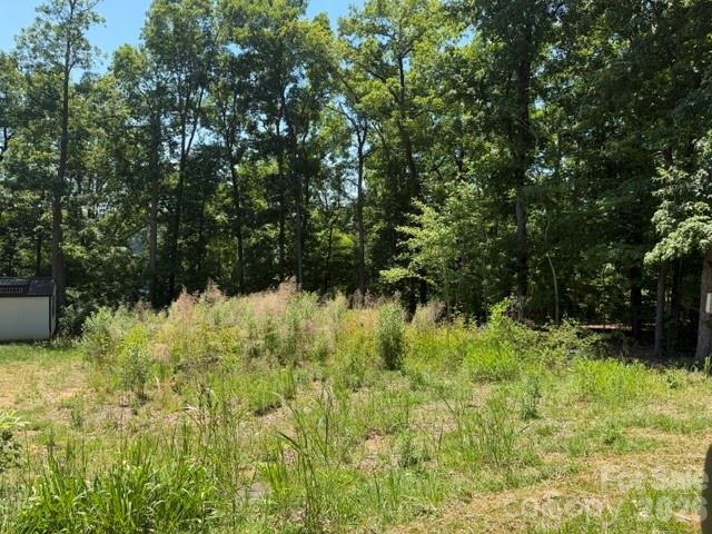 0 Skyline Drive Property Photo 1