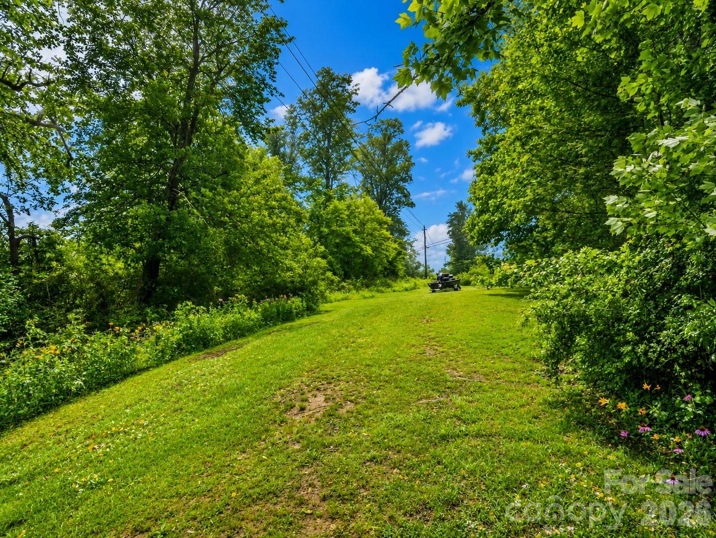 679 Solomon Jones Road Property Photo 32