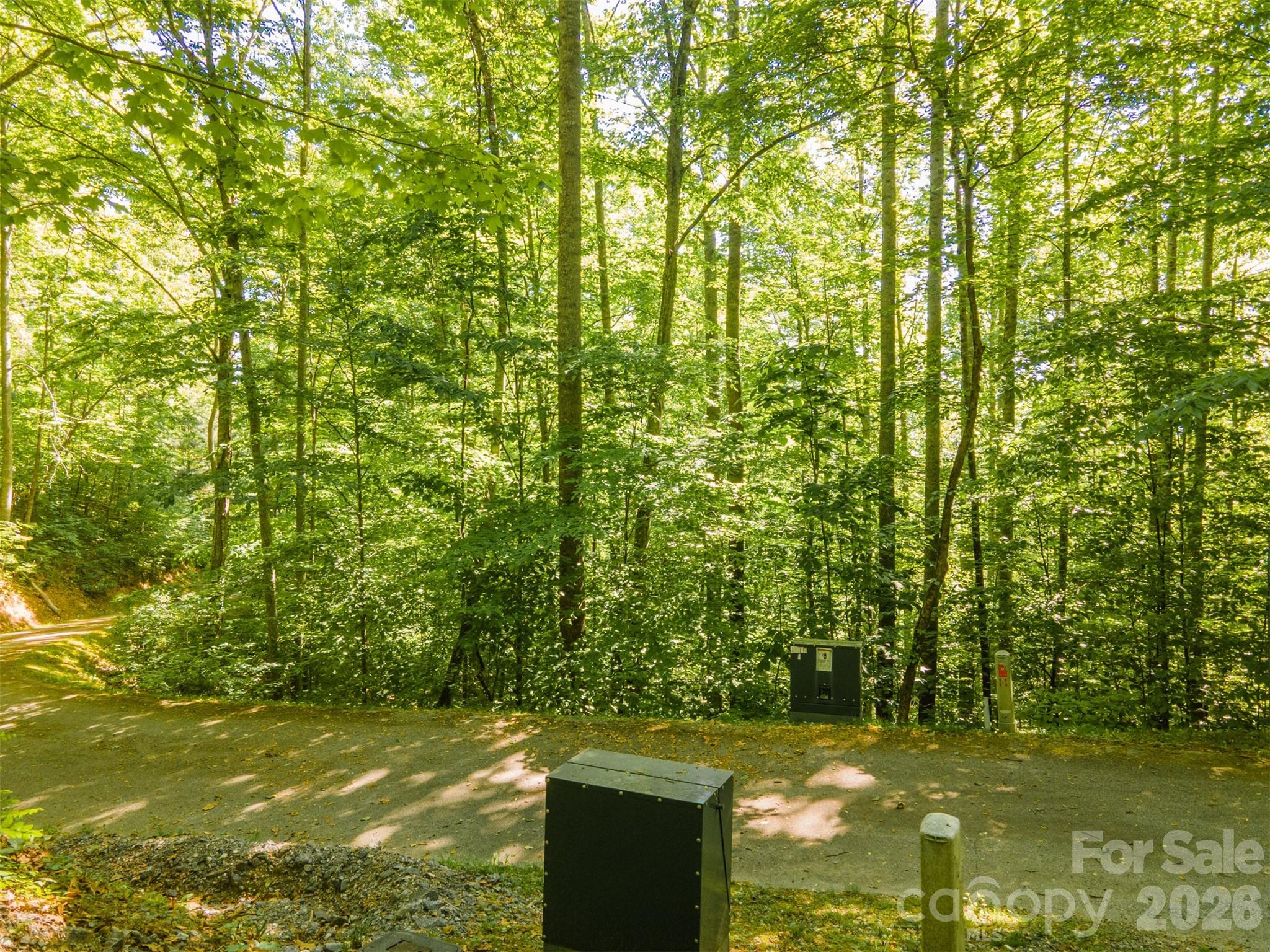 52 Morningside Drive 52 Property Photo 2