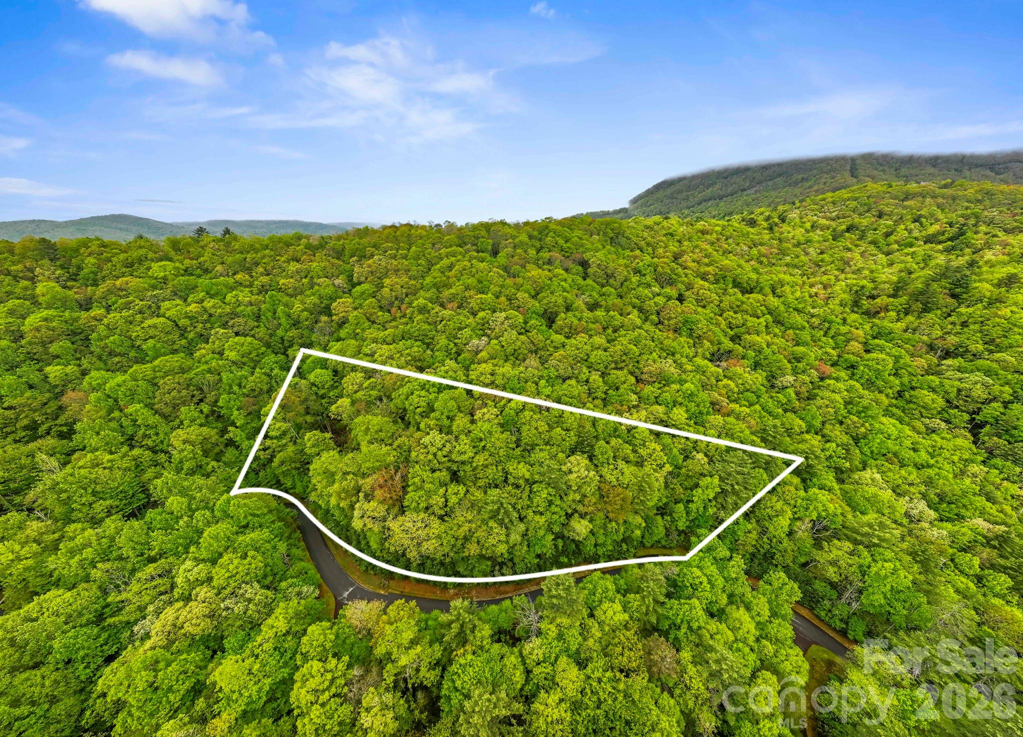 Tbd Hickory Shaft Drive Property Photo 1