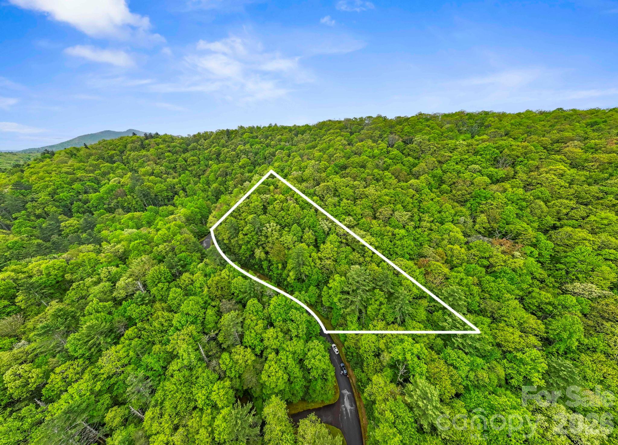 Tbd Hickory Shaft Drive Property Photo 2