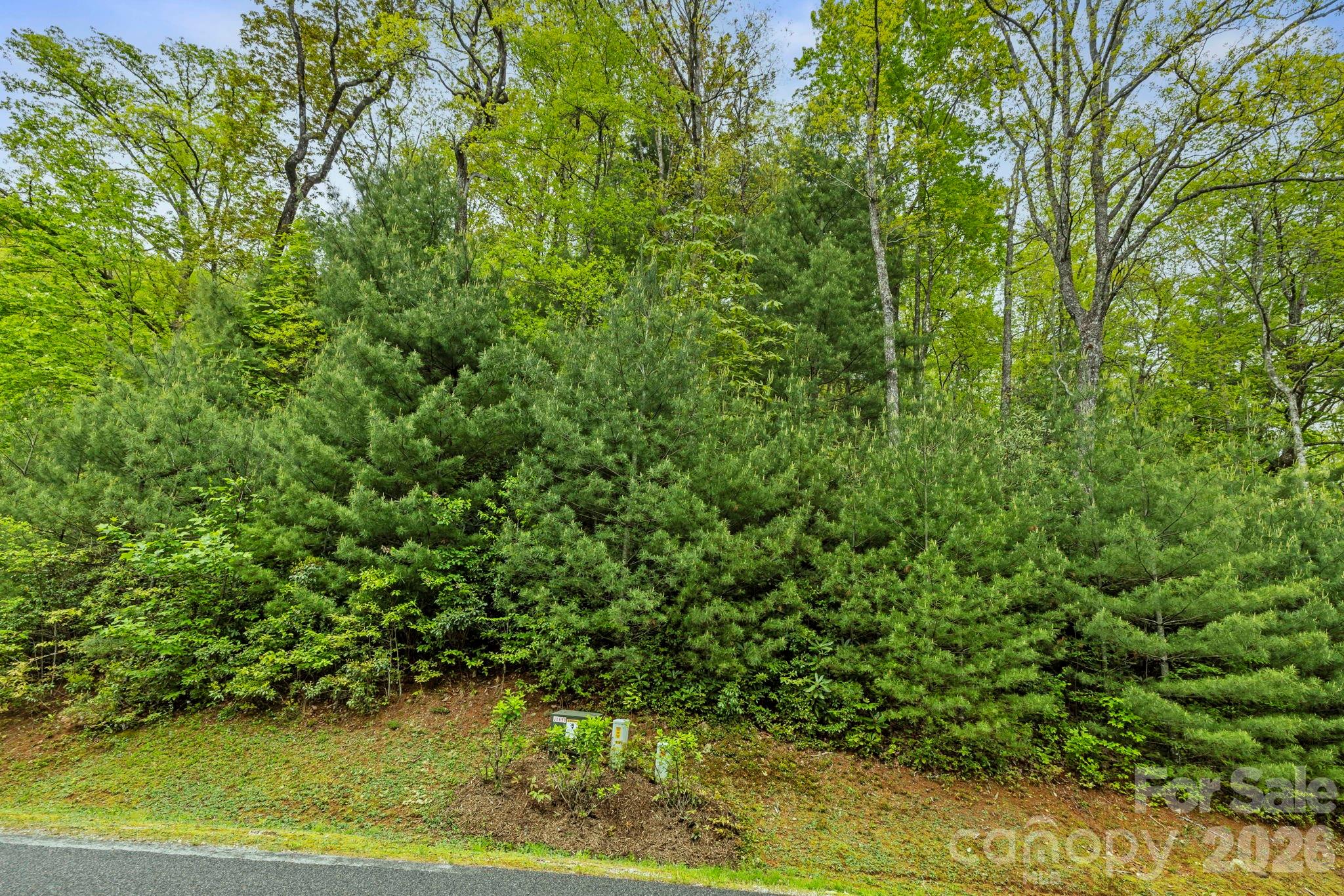 Tbd Hickory Shaft Drive Property Photo 3