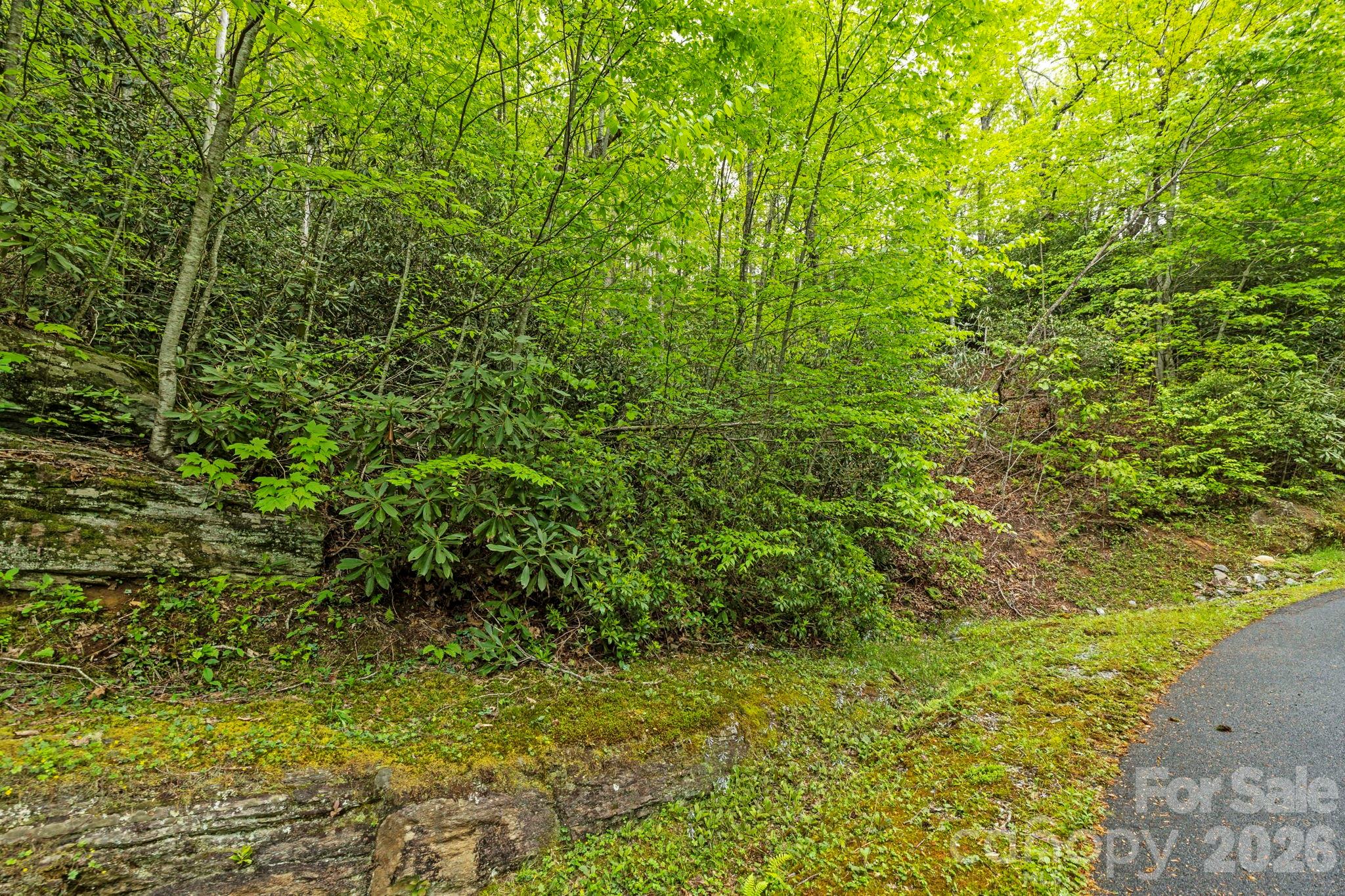 Tbd Hickory Shaft Drive Property Photo 4