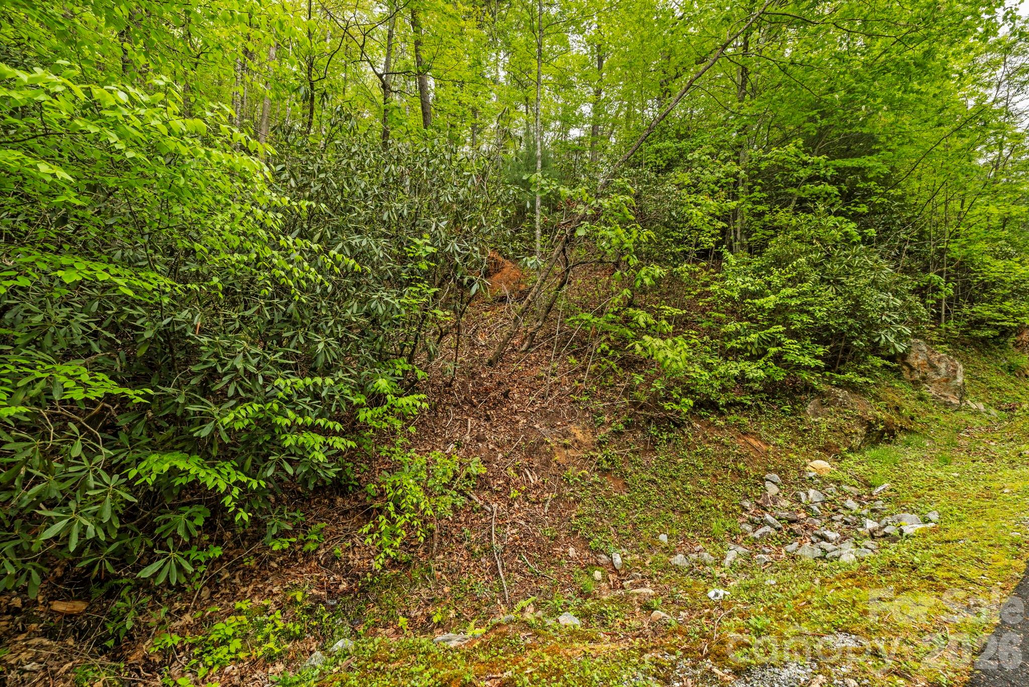 Tbd Hickory Shaft Drive Property Photo 9