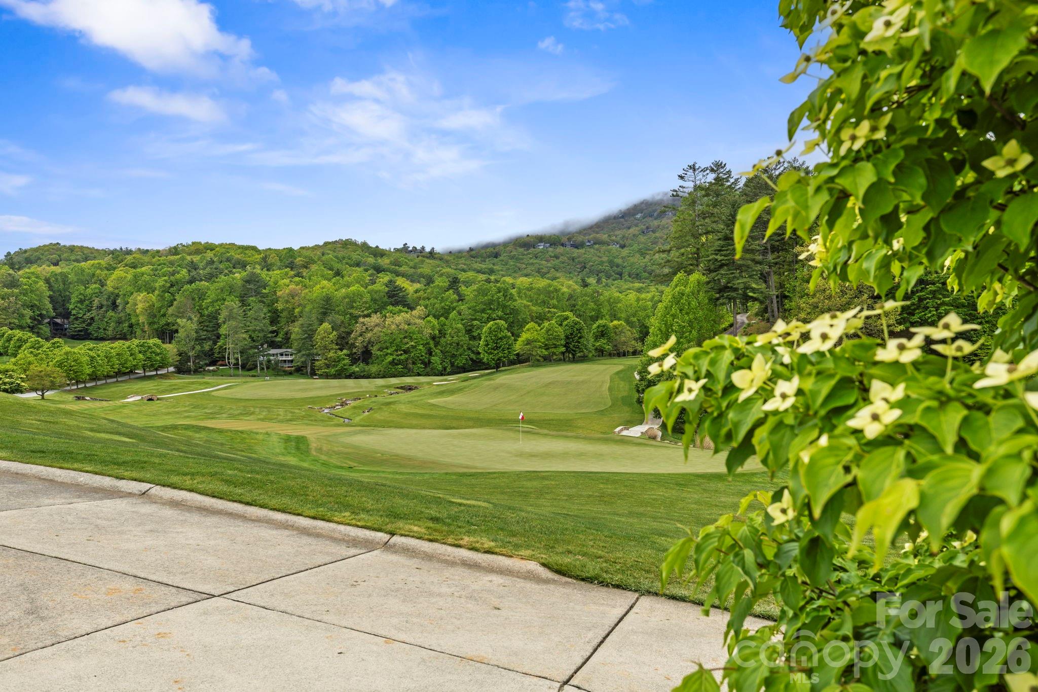 Tbd Hickory Shaft Drive Property Photo 12