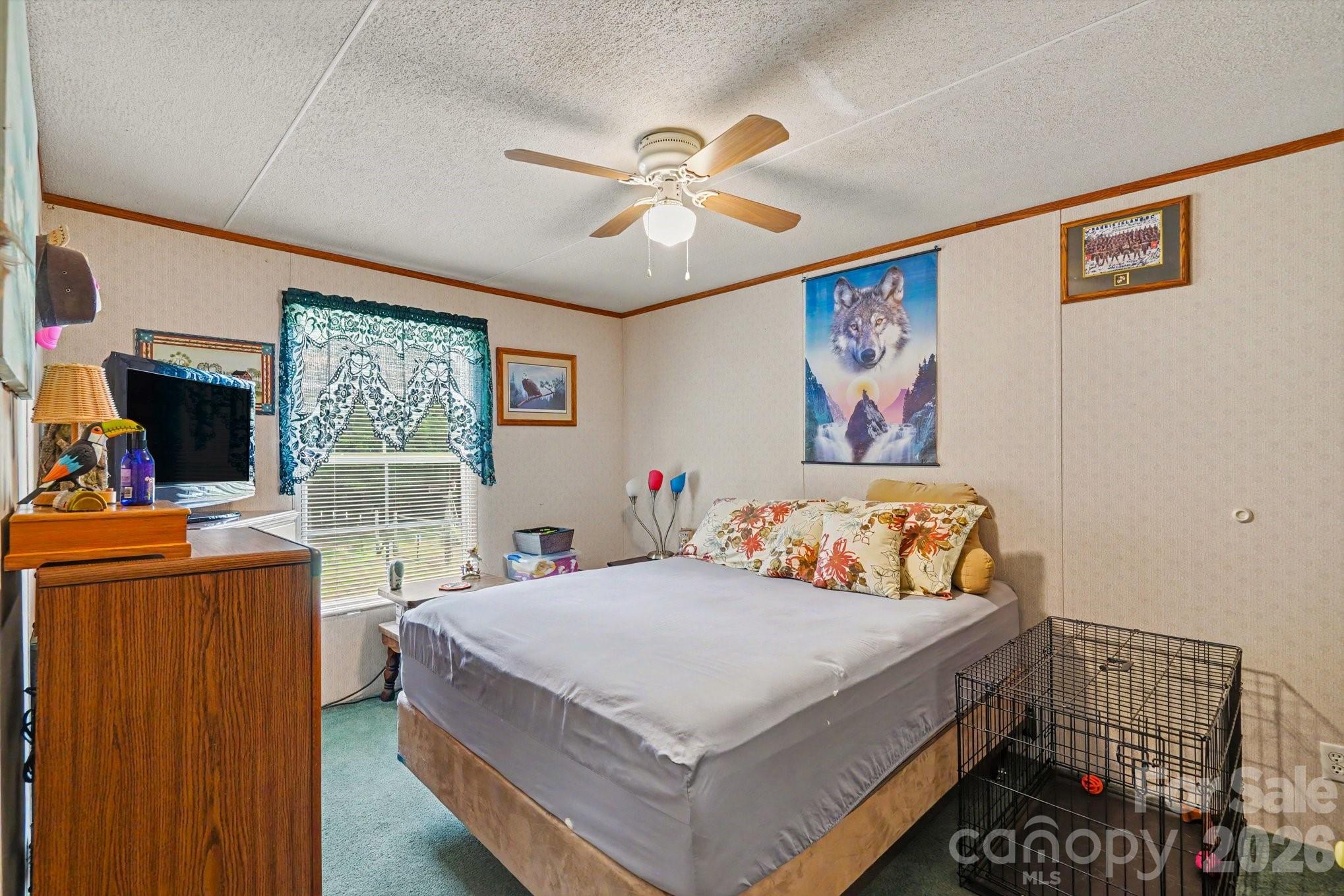 4665 Blade Run Road Property Photo 17
