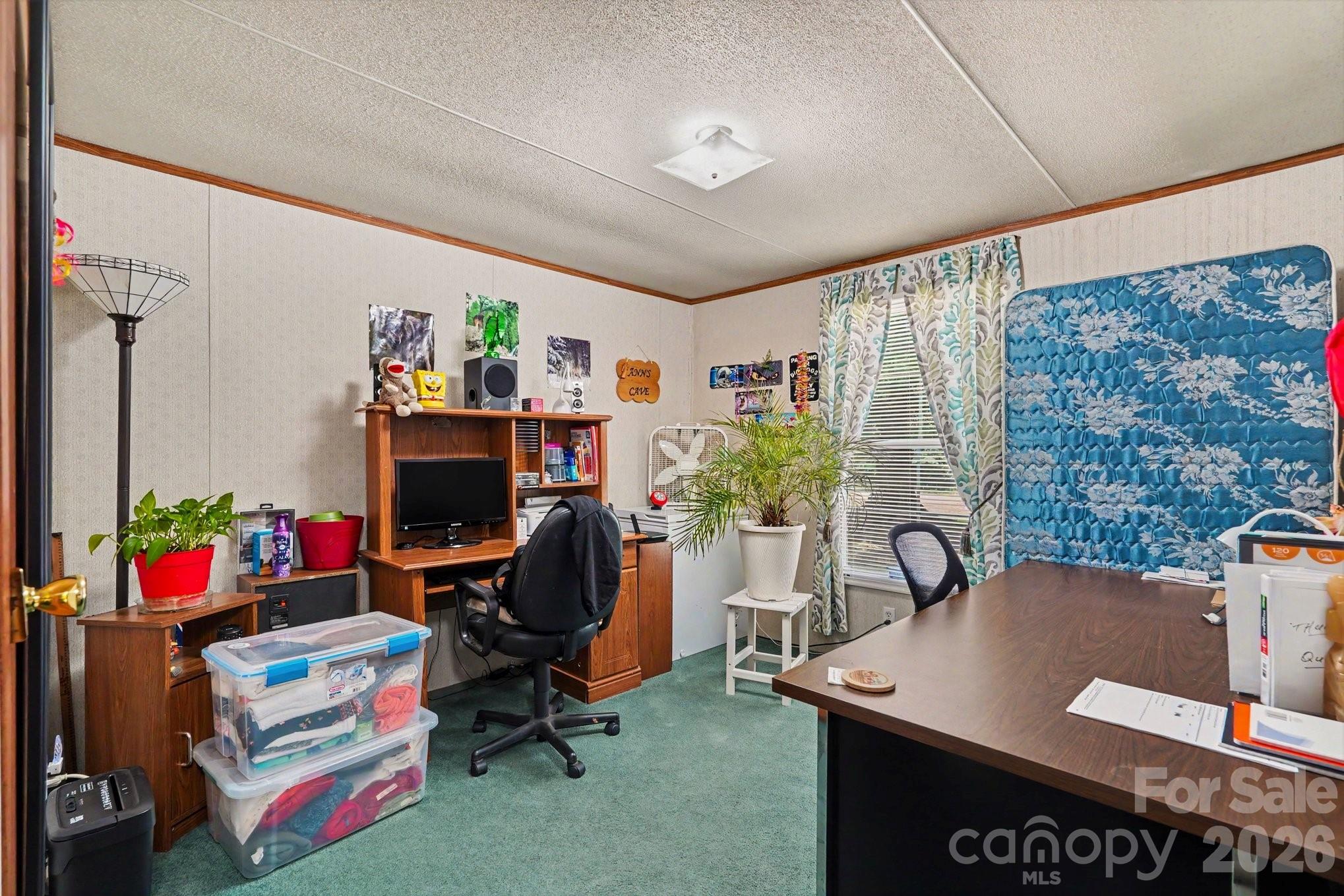 4665 Blade Run Road Property Photo 18