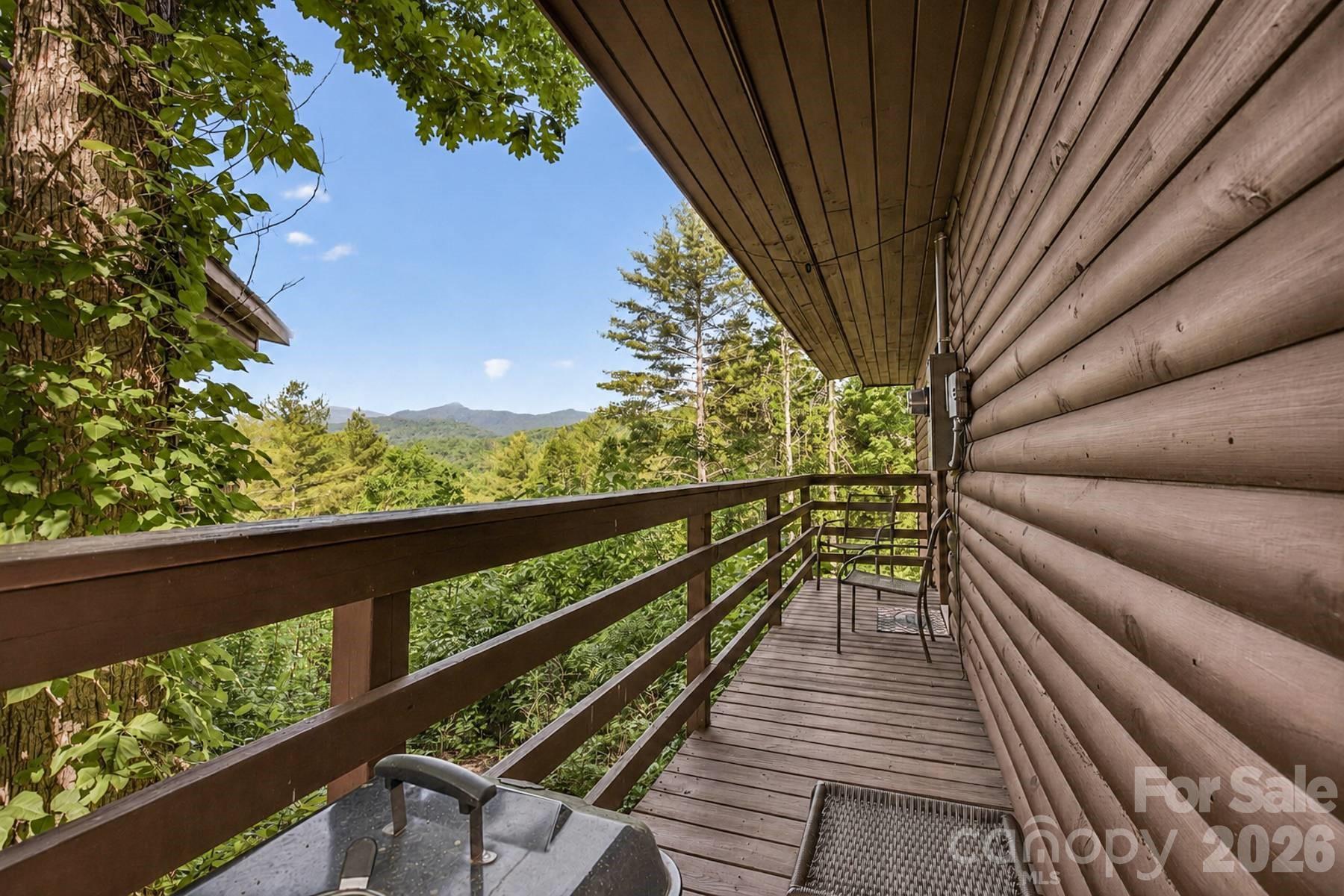 319 Blue Ridge Parkway 53 Property Photo 21