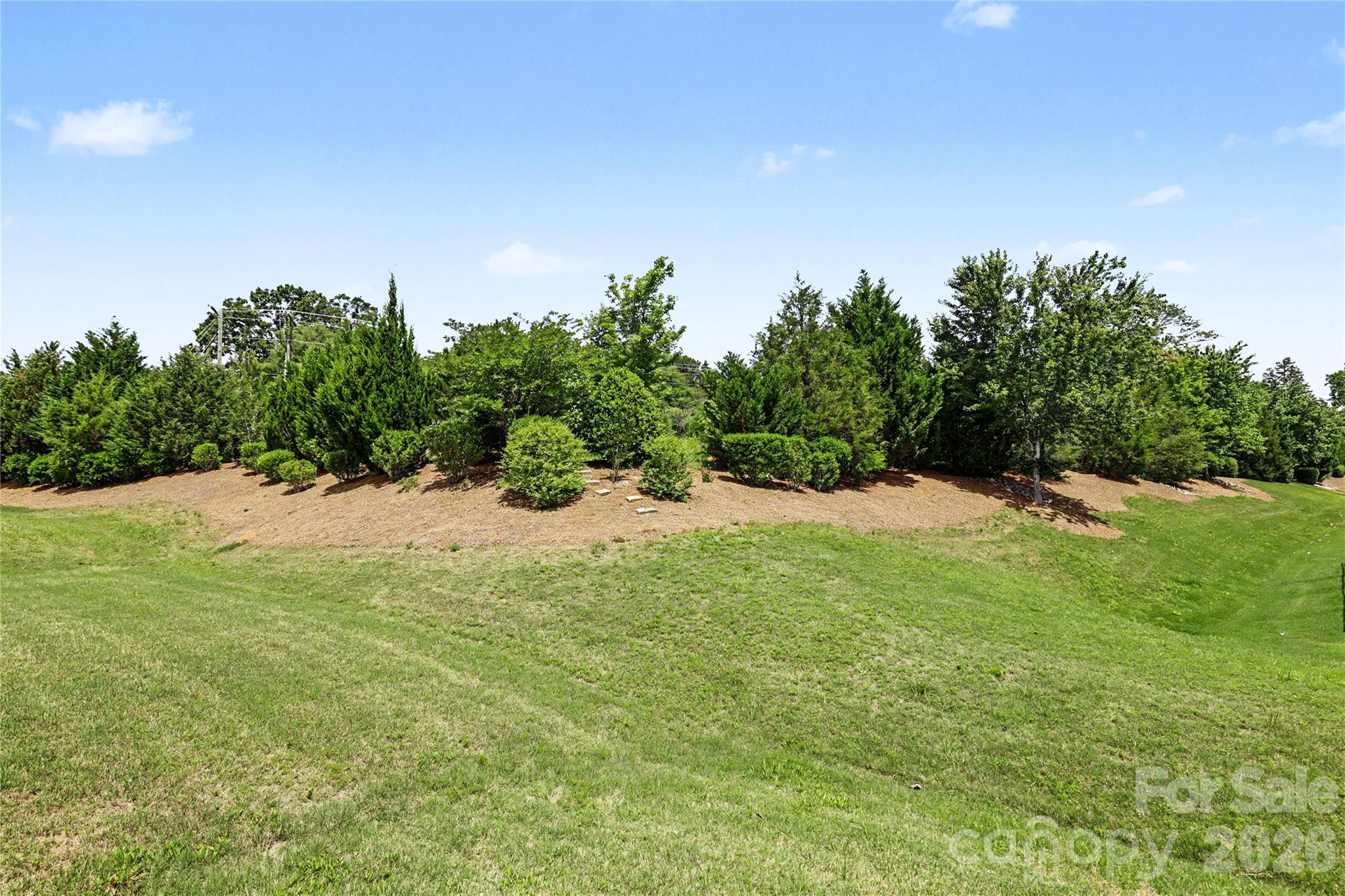 6010 Jack Thomas Drive Property Photo 18