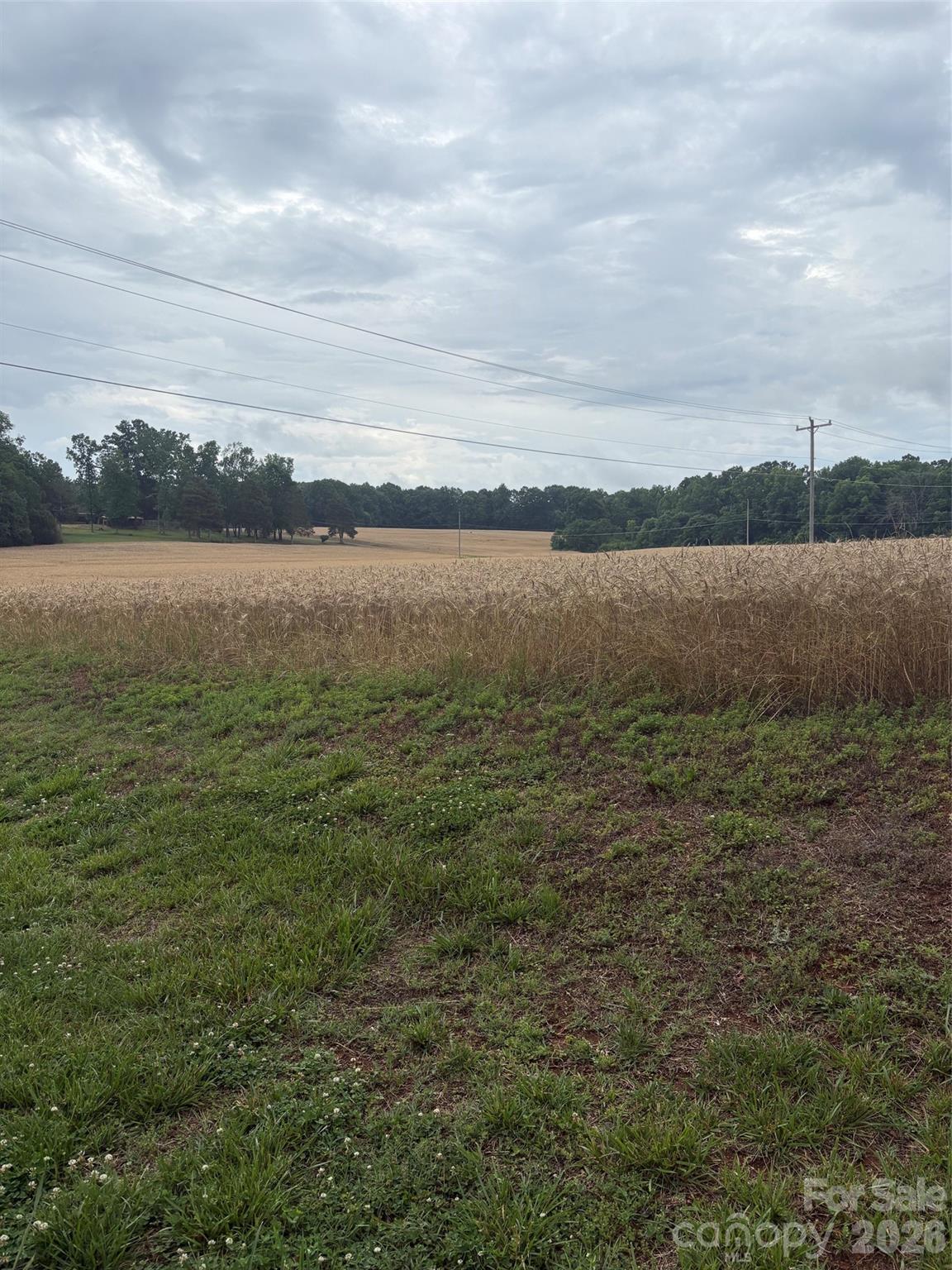 3434 Morgan Mill Road Property Photo 2