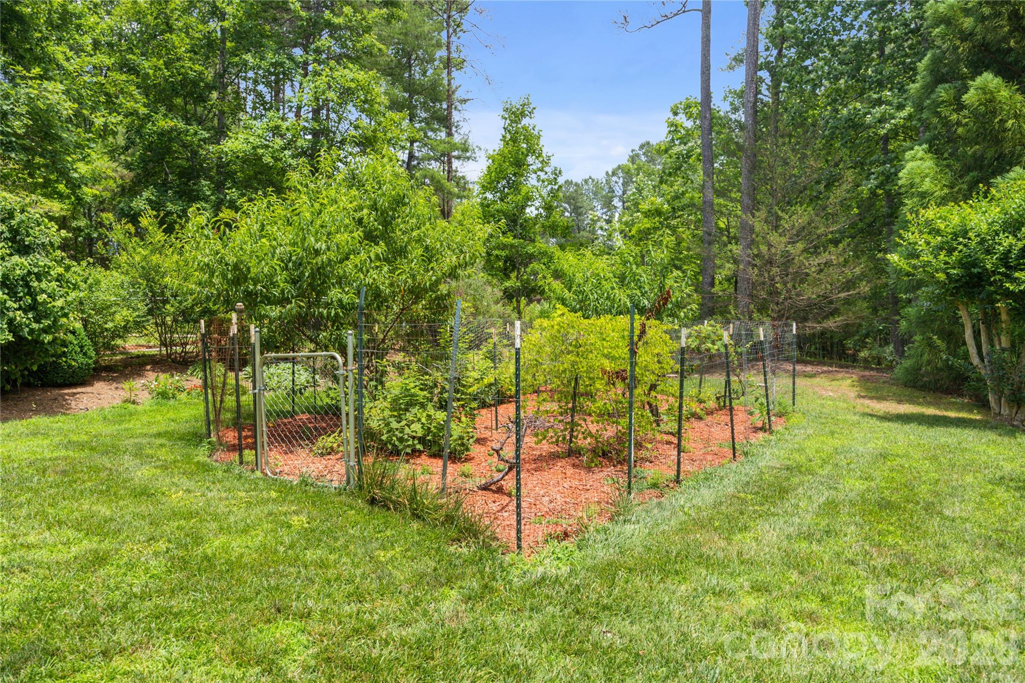 214 Harbor Ridge Drive Property Photo 29
