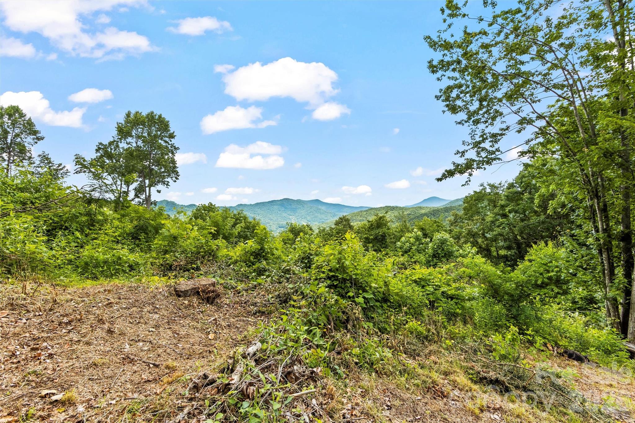 553 Paradise Mountain Road Property Photo 27