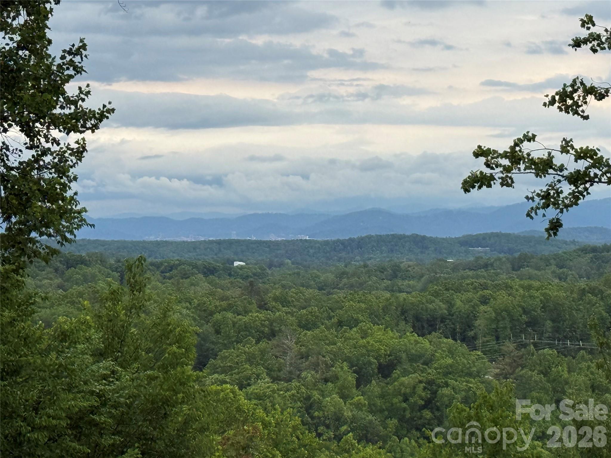 16 Ridge Pine Trail Property Photo 1