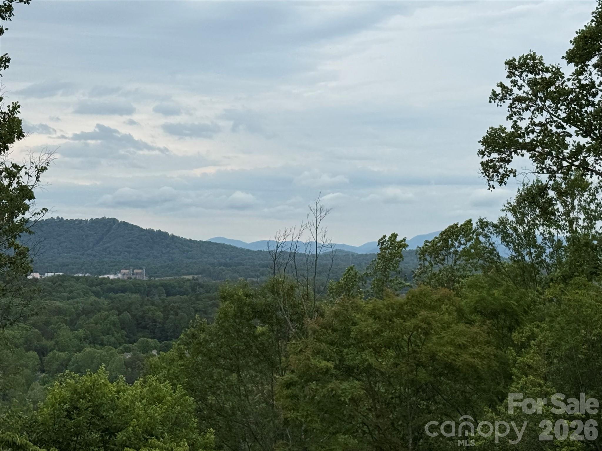 16 Ridge Pine Trail Property Photo 6
