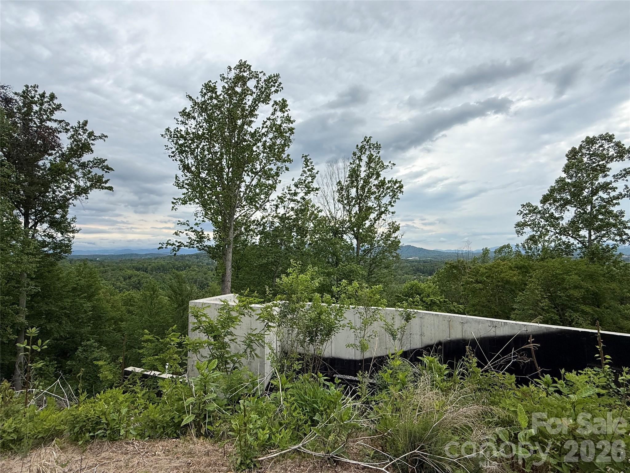 16 Ridge Pine Trail Property Photo 8