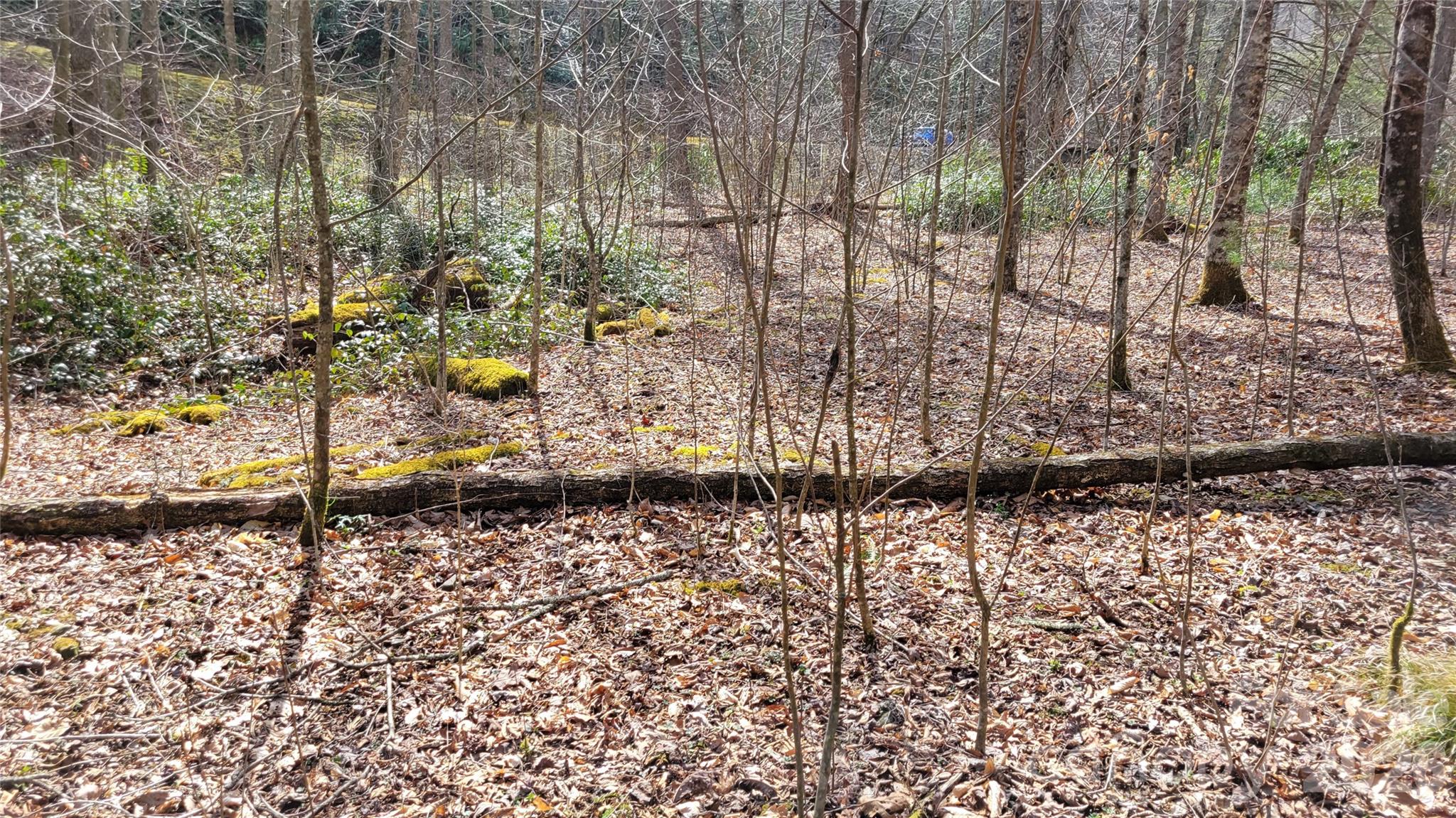 112 Rainbow Trout Road Property Photo 5