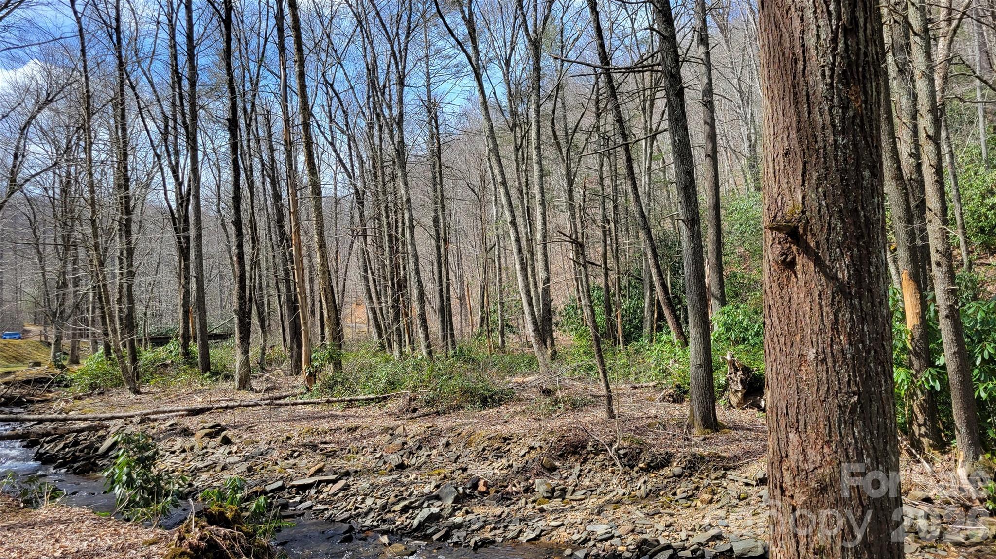 112 Rainbow Trout Road Property Photo 7