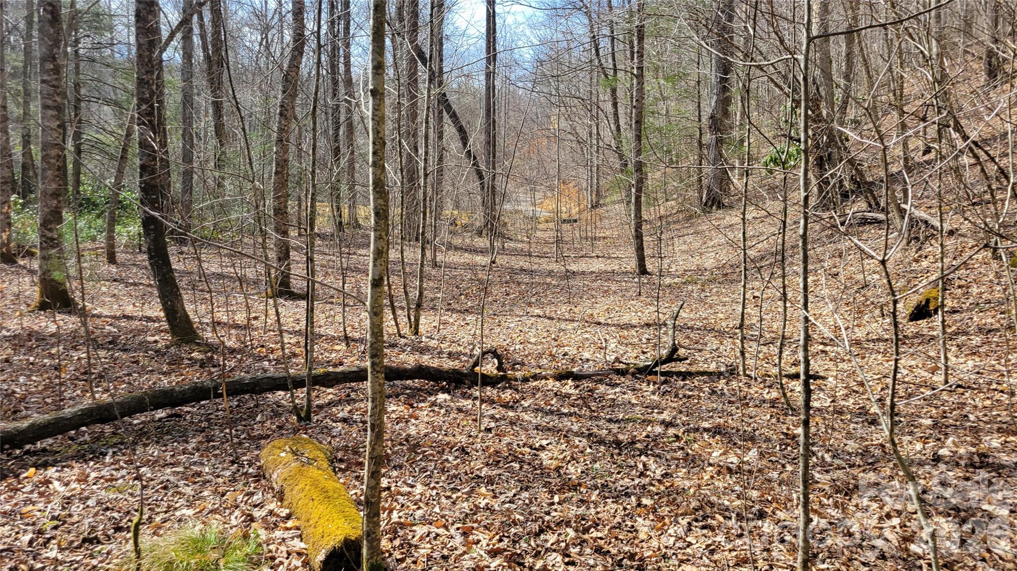 112 Rainbow Trout Road Property Photo 10