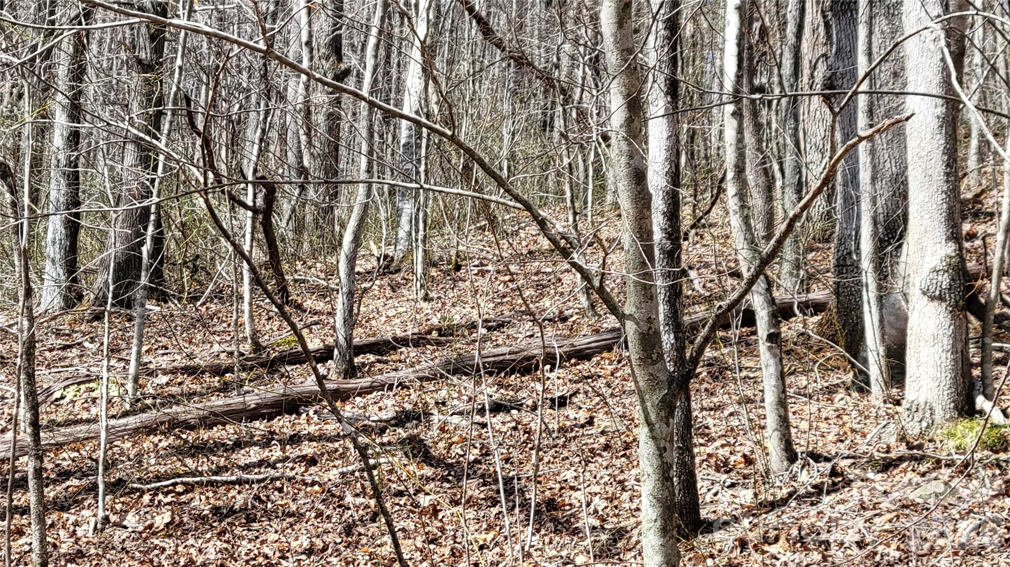 112 Rainbow Trout Road Property Photo 11
