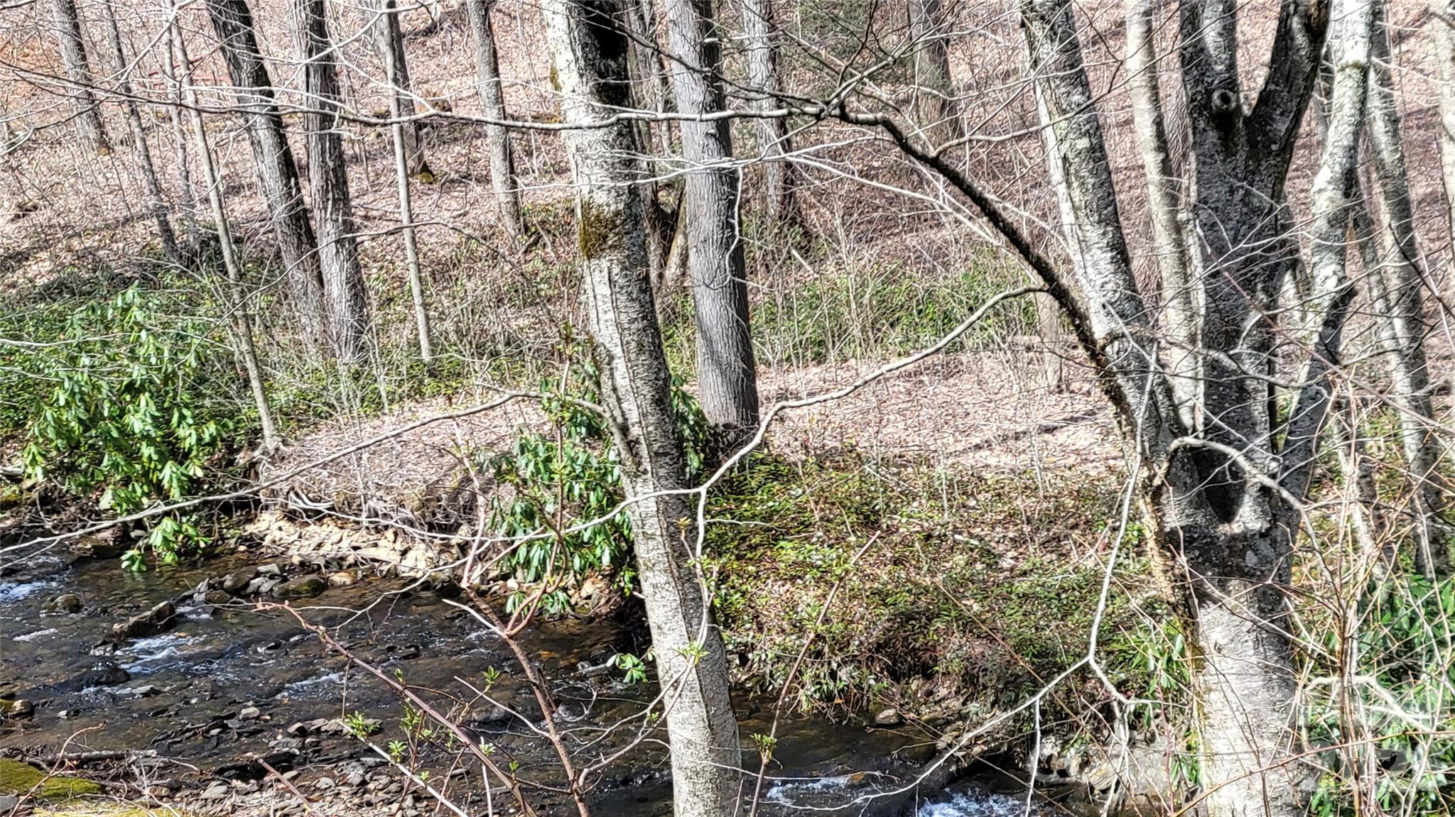 112 Rainbow Trout Road Property Photo 12