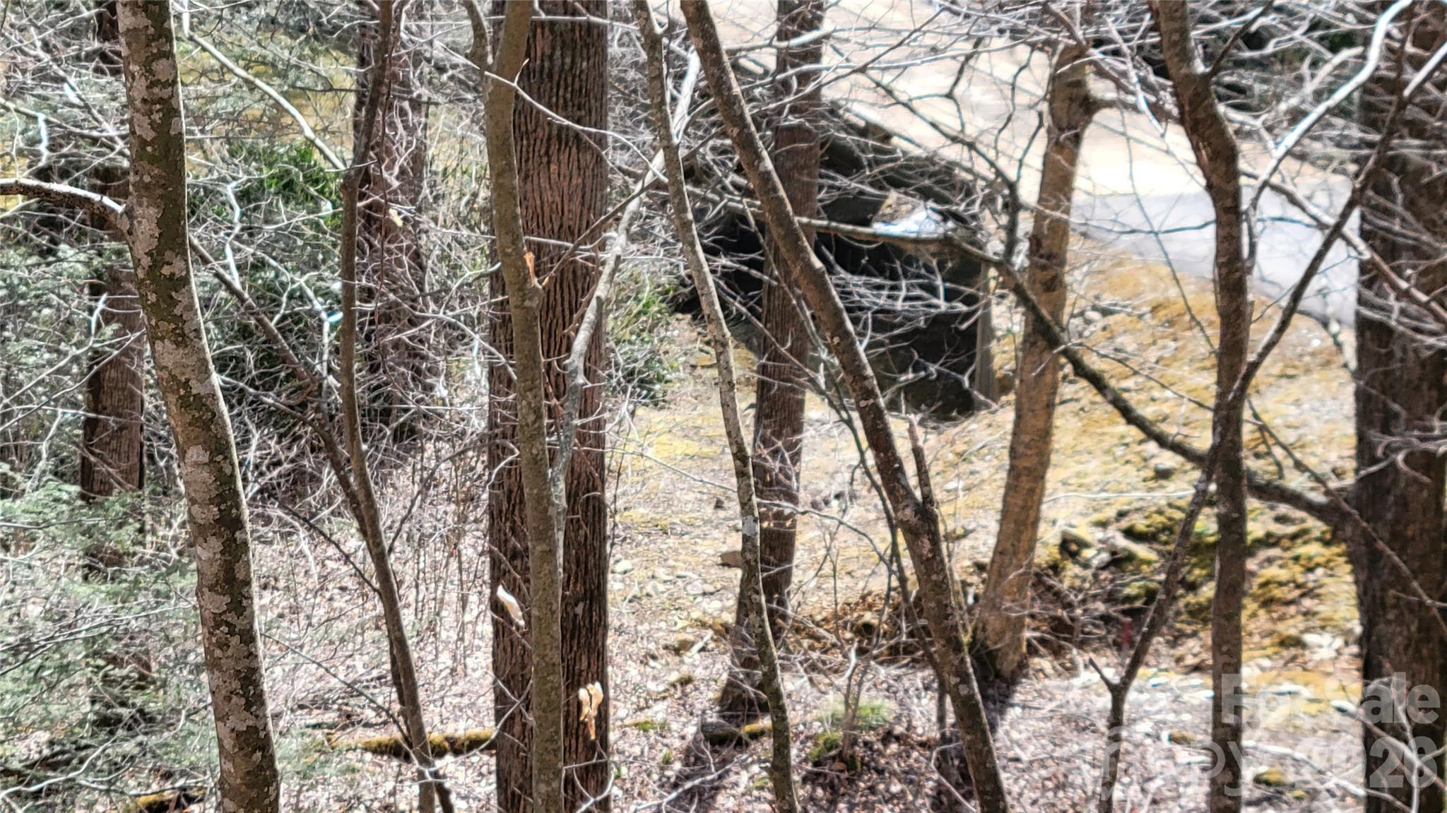 112 Rainbow Trout Road Property Photo 13
