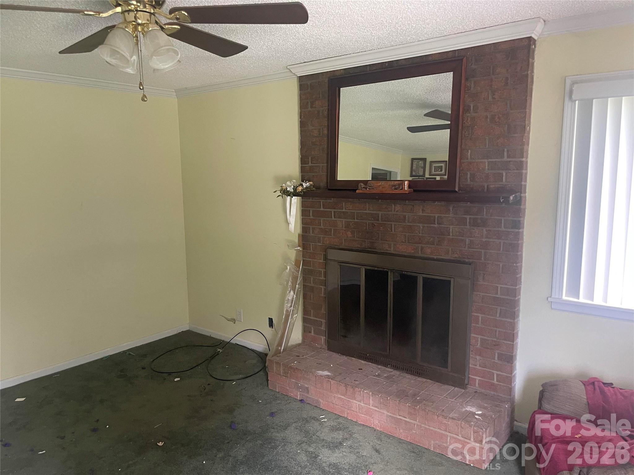 244 Tabor Drive Property Photo 2