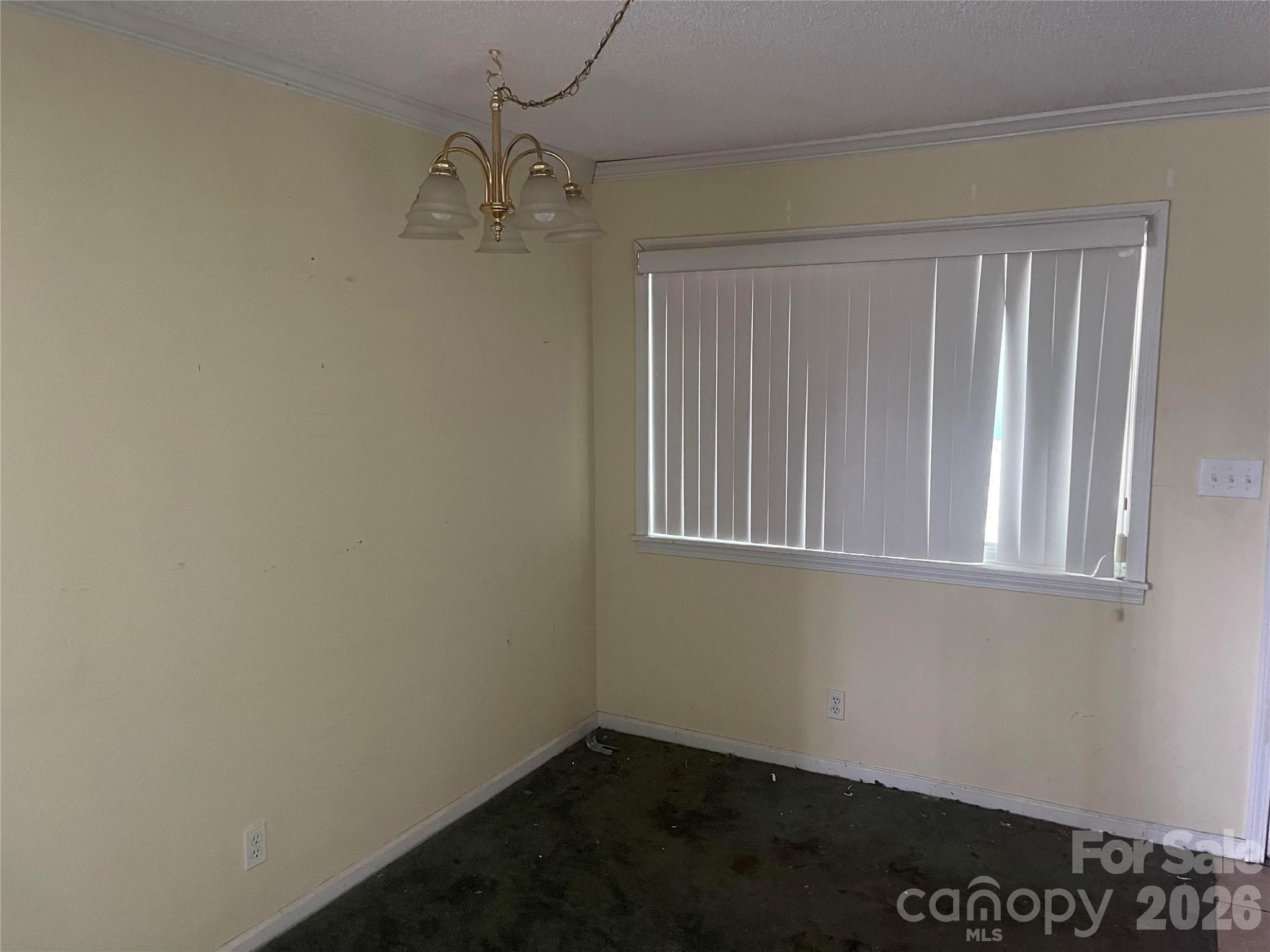 244 Tabor Drive Property Photo 6