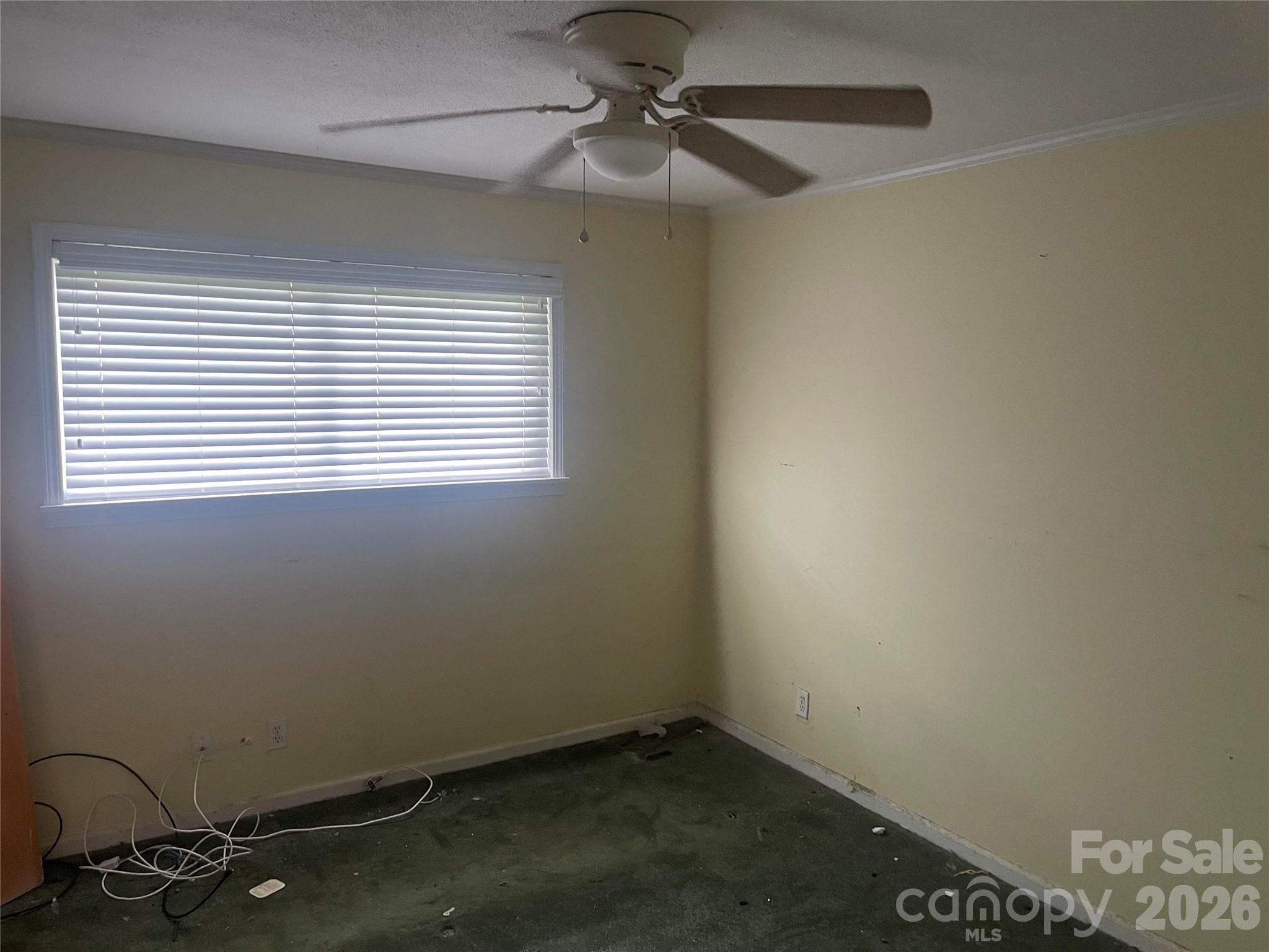 244 Tabor Drive Property Photo 7