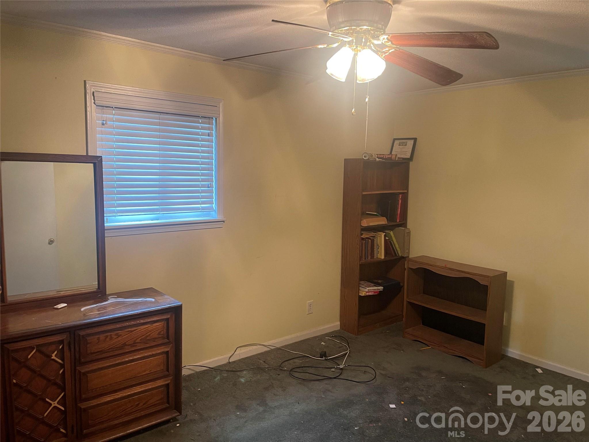244 Tabor Drive Property Photo 9