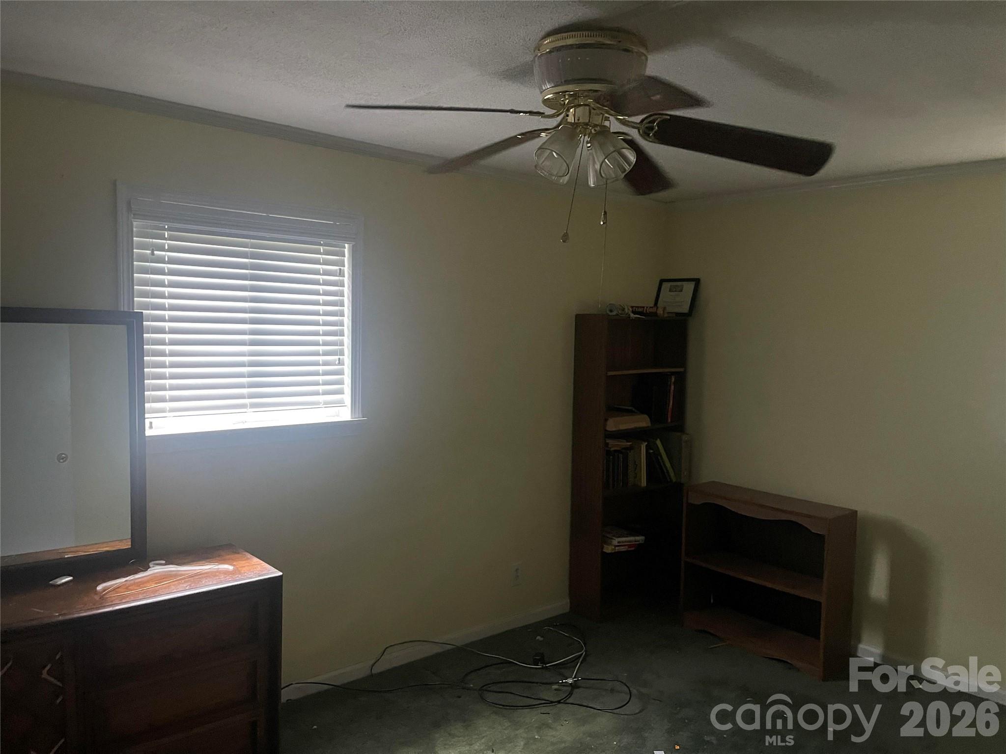 244 Tabor Drive Property Photo 10