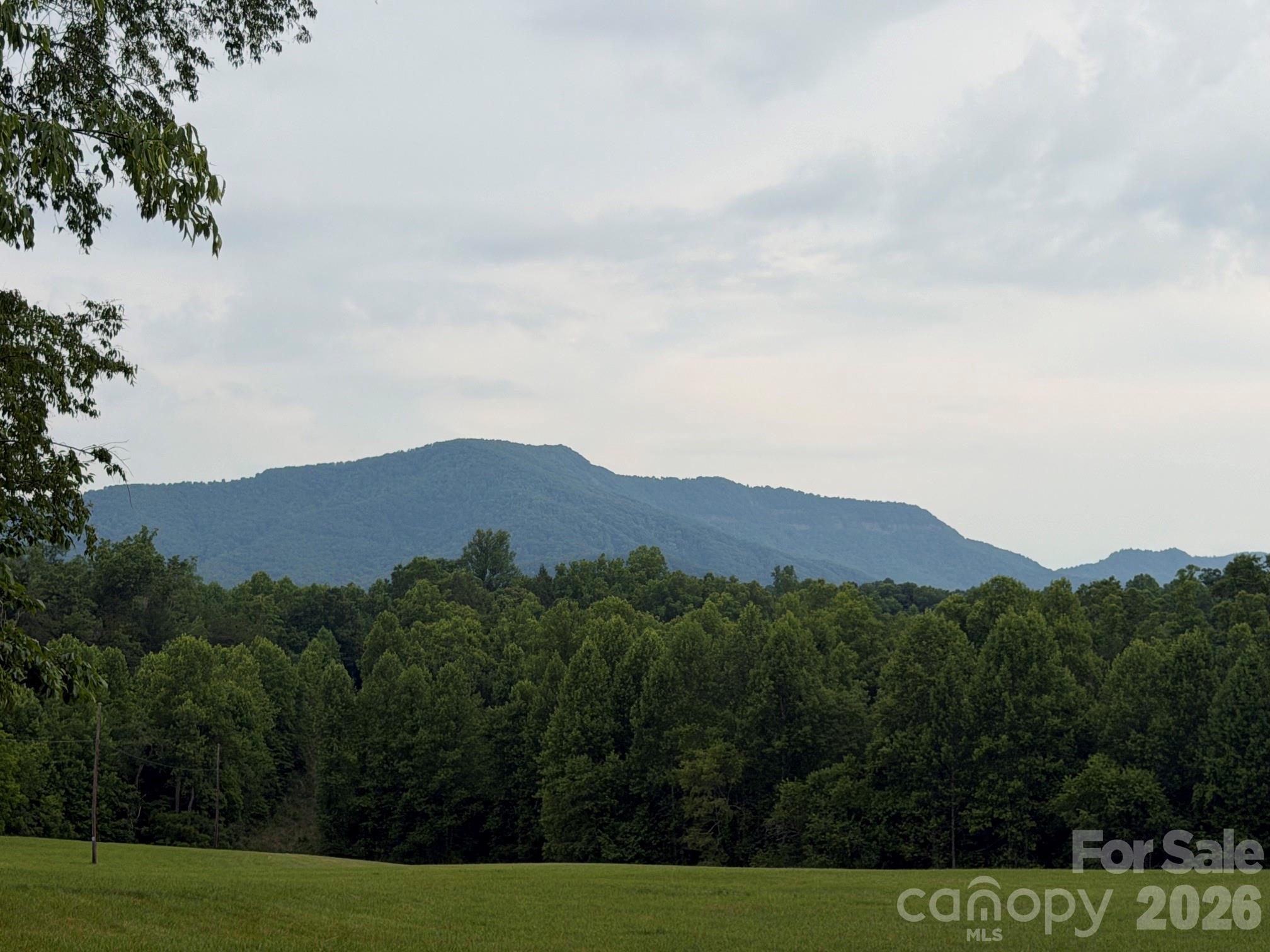 Lot 5 Parker Padgett Road Property Photo 7