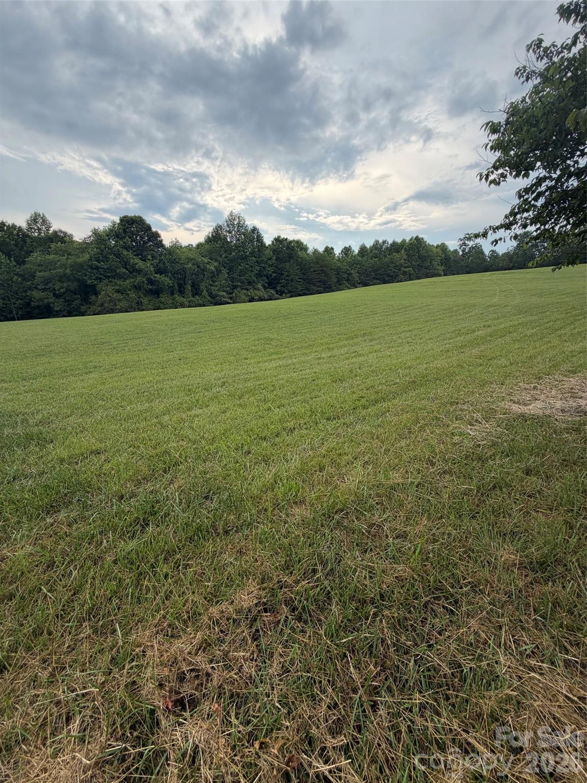 Lot 5 Parker Padgett Road Property Photo 9