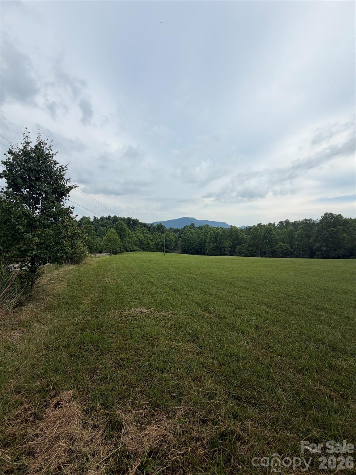 Lot 5 Parker Padgett Road Property Photo 10