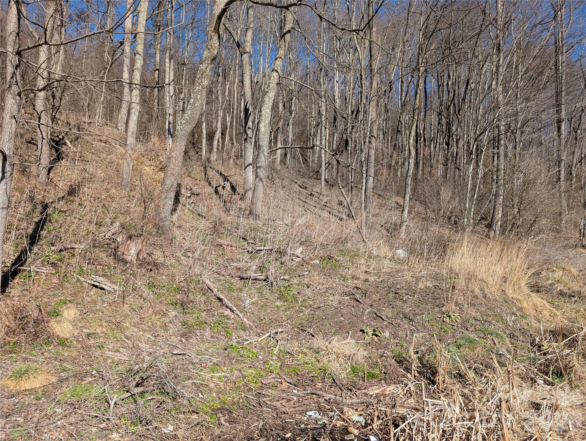 00 Great Smoky Mountain Expy Highway Property Photo 3